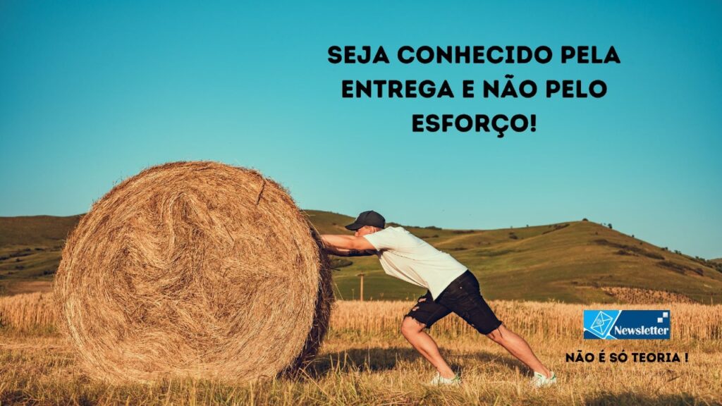 blog Rota do DP